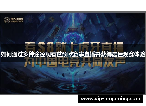 如何通过多种途径观看世预欧赛事直播并获得最佳观赛体验