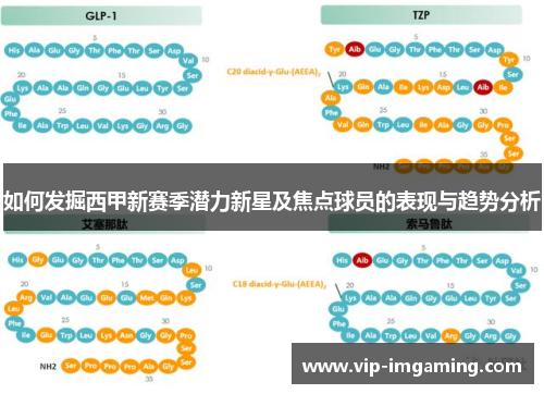 如何发掘西甲新赛季潜力新星及焦点球员的表现与趋势分析